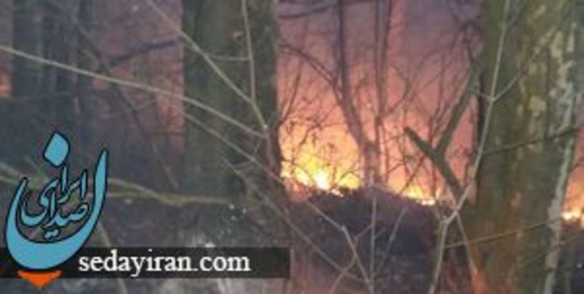 آتش‌سوزی مجدد در میانکاله   درخواست اعزام بالگرد به منطقه