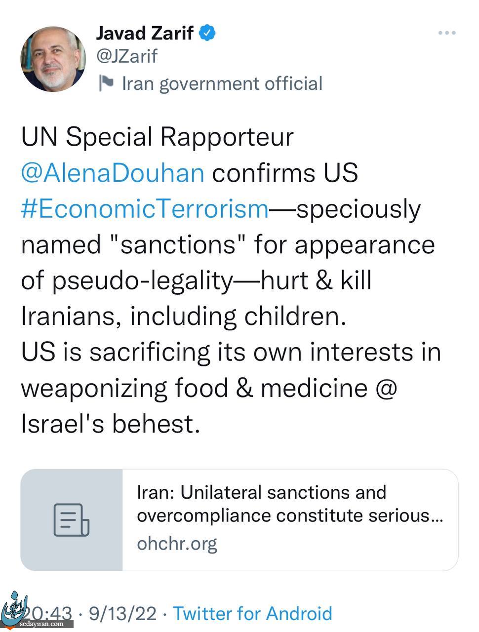 گزارشگر ویژه سازمان ملل ادعای مهم ظریف را تایید کرد+ جزئیات