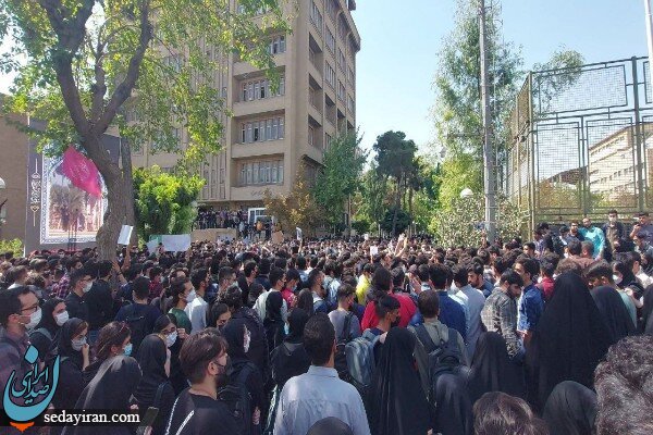 شمسی پور: اکثر دانشجویان بازداشتی آزاد شدند / پیگیری ها ادامه دارد