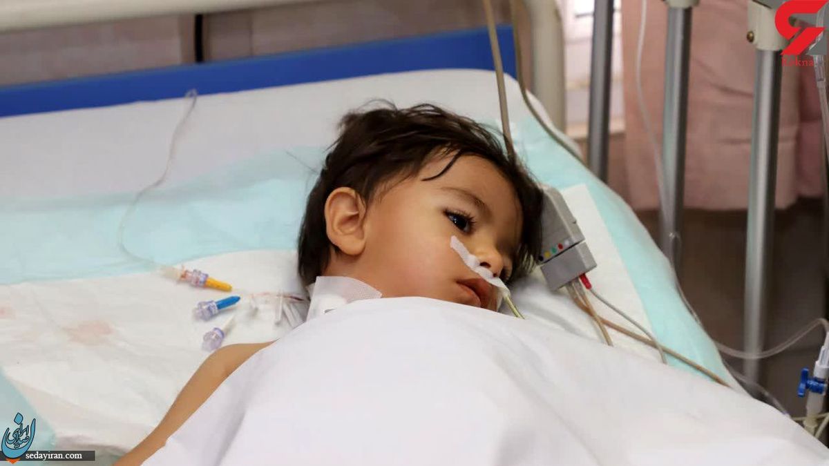 خبرهای جدید از وضعیت سلامتی راستین 2 ساله مجروح حادثه شاهچراغ    روایت پدرش