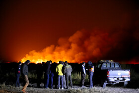 مهار آتش سوزی در تالاب میقات اراک / میزان خسارت وارده اعلام شد