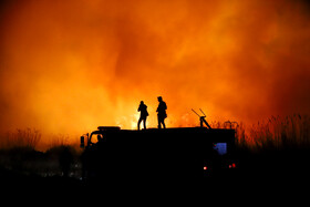 مهار آتش سوزی در تالاب میقات اراک / میزان خسارت وارده اعلام شد