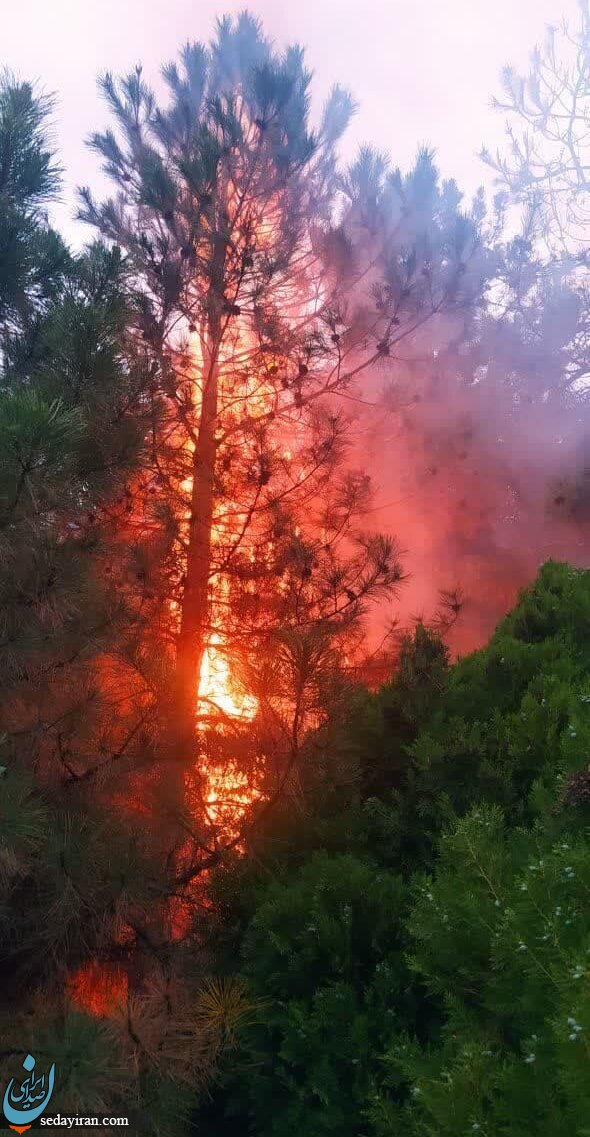 صاعقه دانشگاه تبريز را به آتش كشيد! / عکس