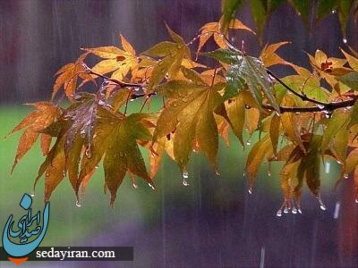 پیش بینی هواشناسی کشور 30 آبان 1402   بارش باران    وزش باد شدید در برخی استان‌ها