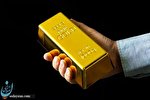 پیش‌ بینی قیمت طلا و سکه ۲۱ فروردین ۱۴۰۳/  حباب سکه امامی ۶ میلیون تومان شد