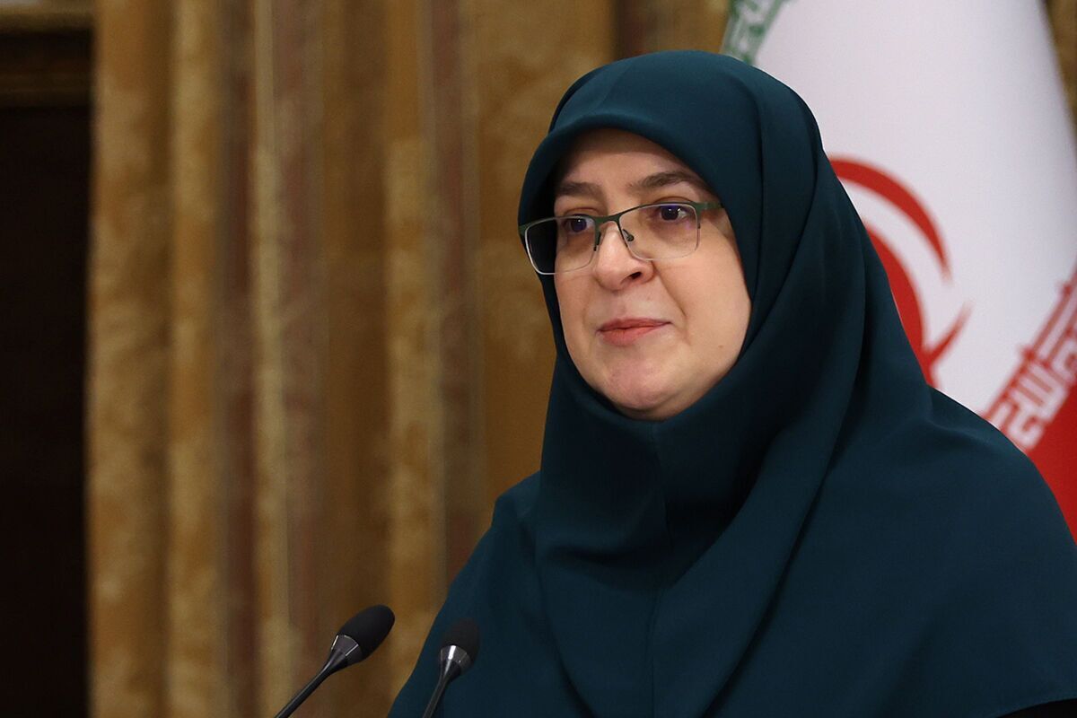 مهاجرانی: قیمت بنزین بدون آمادهسازی اذهان افزایش نمییابد ؛ پولشویی نمیکنیم اما هزینه آن را میپردازیم