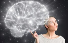 چند تغذیه مهم برای تقویت مغز