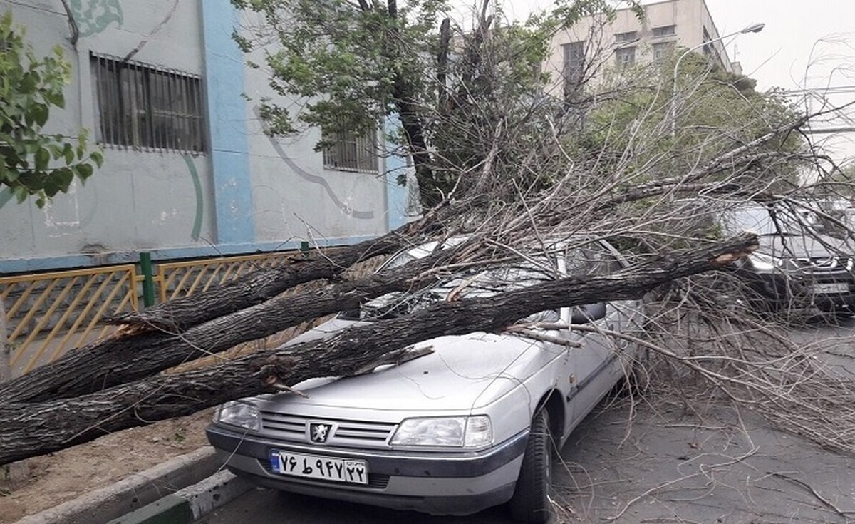 تندباد در اصفهان؛ سقوط ۵۴ درخت و خسارت به ۱۶ خودرو (+عکس)
