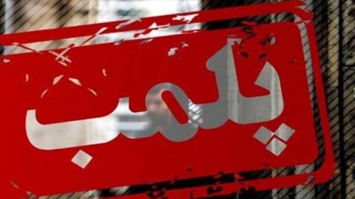 پلمپ کافه سگ‌ها توسط پلیس در تهران