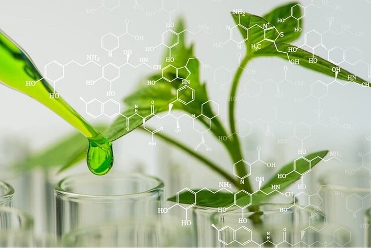 عطاری‌های علمی نشان «حکمت‌بنیان» دریافت می‌کنند توسعه ۵ پالایشگاه گیاهان دارویی در کشور