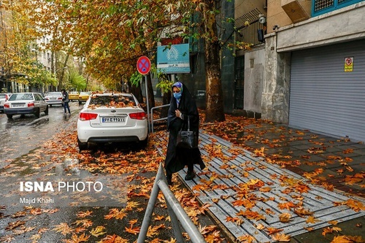 فلسطین شمالی تغییر نام داد