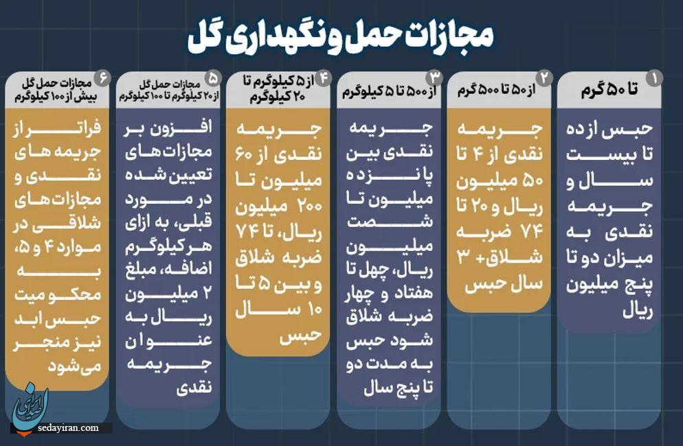 مجازات حمل مواد مخدر گل چیست؟ + مجازات کاشت و پرورش ماری جوانا