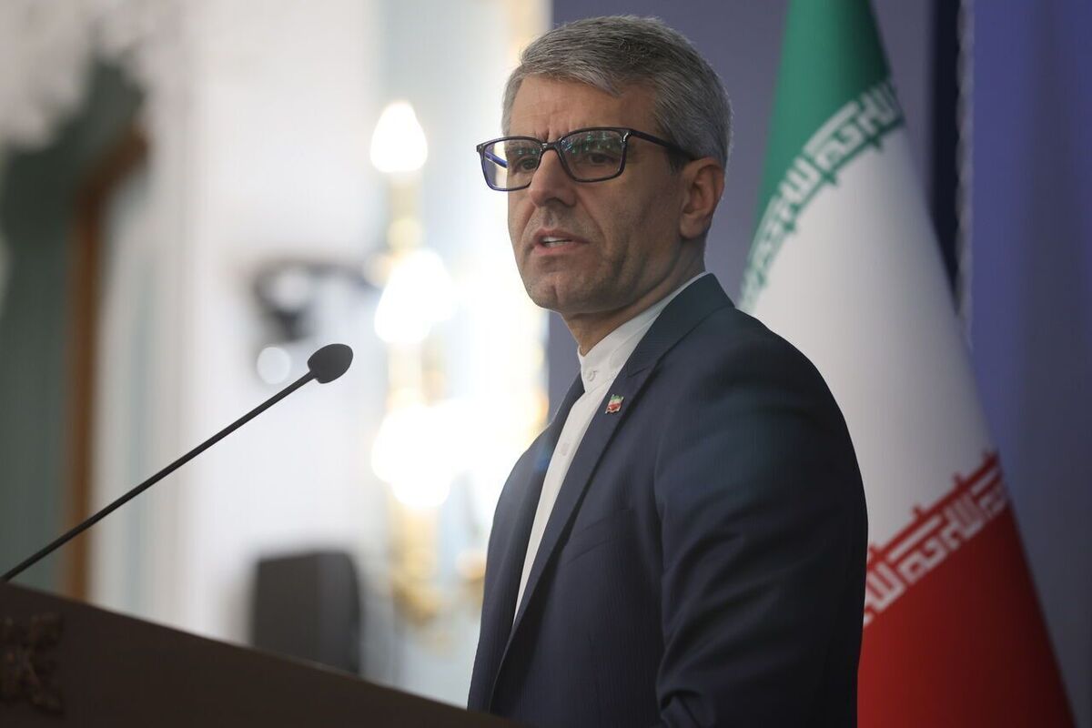 بقائی: ایران و آمریکا طی چند روز آینده گفتوگوهای غیرمستقیم را در سطح فنی از سرخواهند گرفت