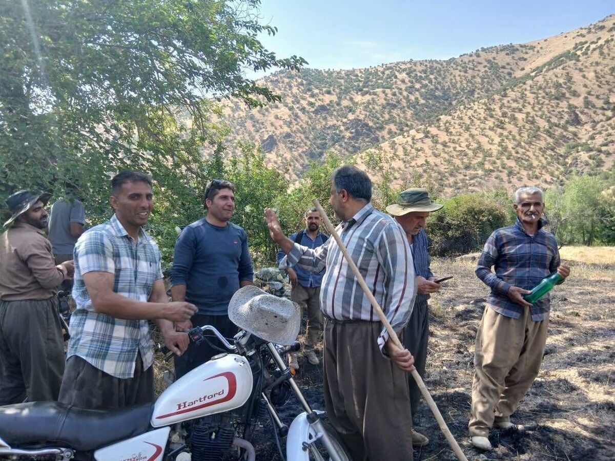 مهار آتش سوزی در منطقه حفاظت شده شاهو و کوسالان سروآباد