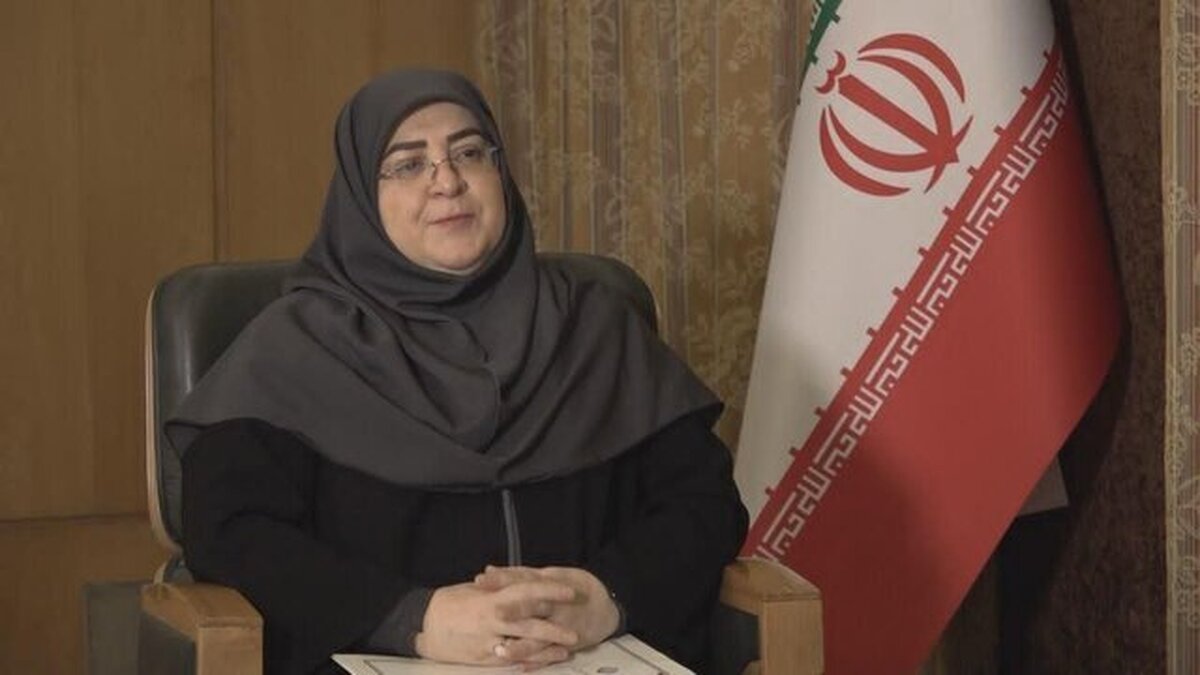 گفت‌وگوی مهاجرانی با المیادین؛ آمریکا حق ندارد بگوید چه چیز داشته باشید؛ حجم و عمق اطلاعات به دست آمده از اسرائیل بسیار بالاست