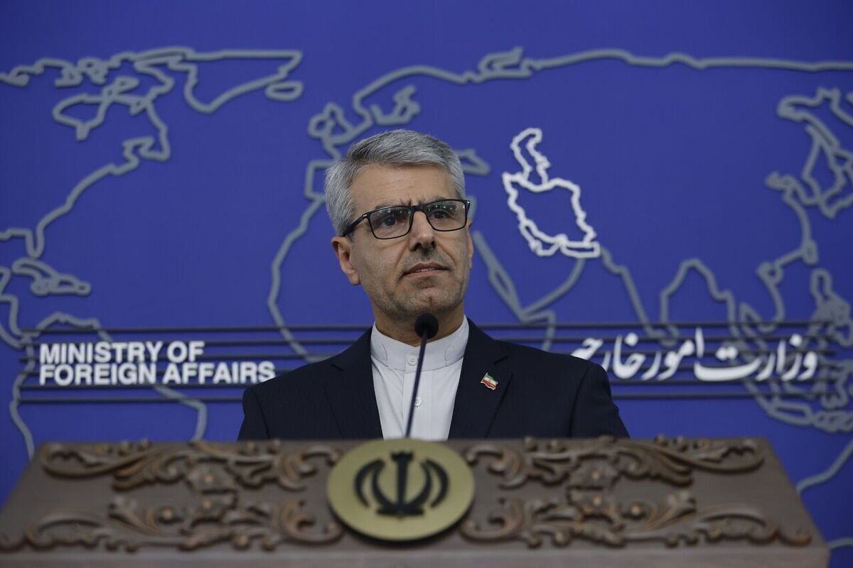 بقائی: ایران با تکیه بر توان داخلی با تمام قوا از خود دفاع خواهد کرد