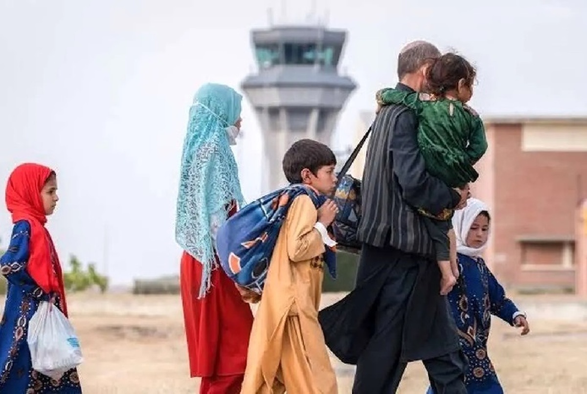 آخرین خبر از وضعیت ساماندهی اتباع غیرمجاز