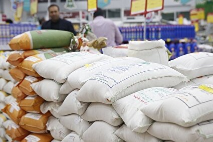 بازار برنج در چنگ دلالان/کشاورزان سود نمی‌برند، واسطه‌ها میلیاردها می‌برند!