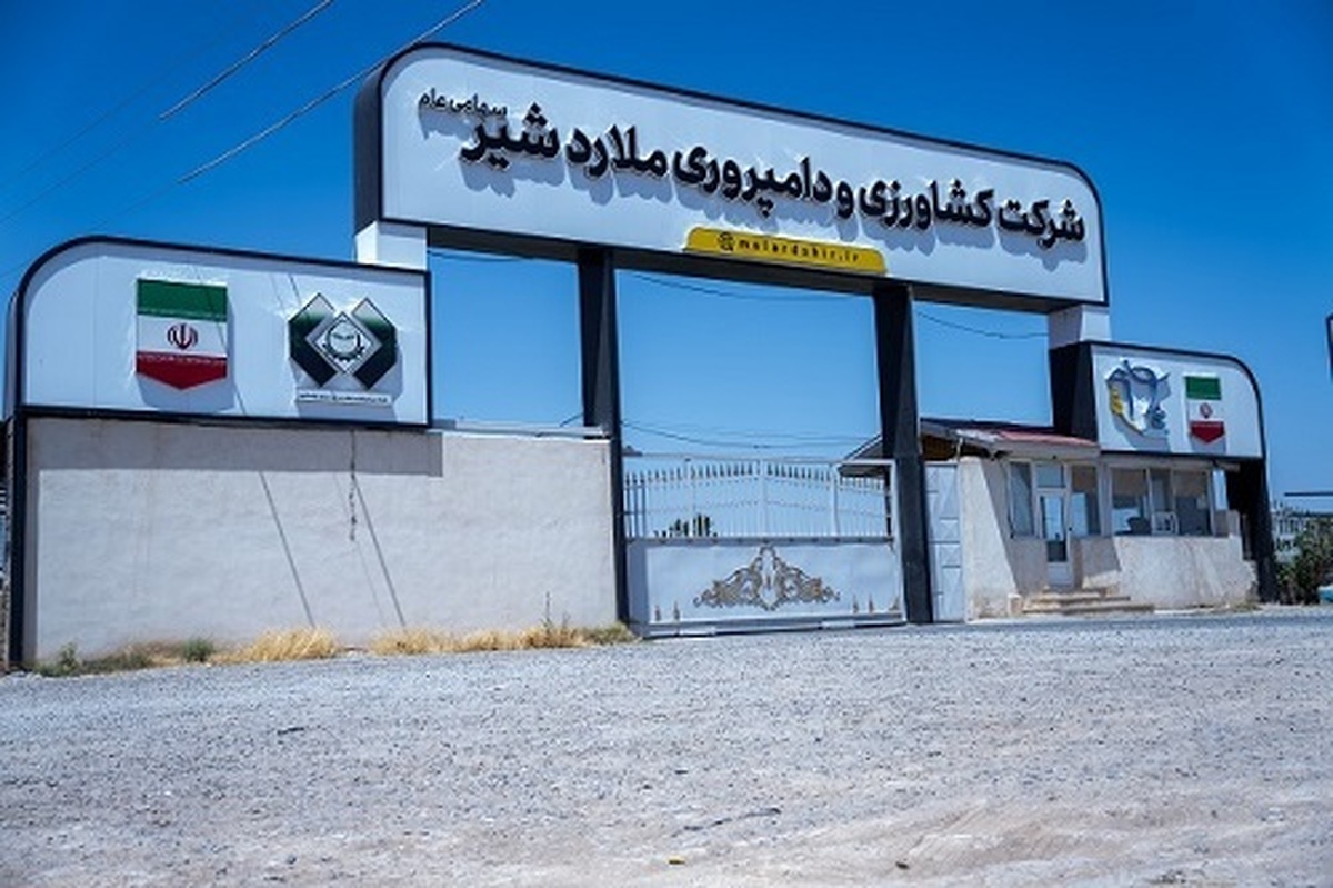 رشد چشمگیر ۱۰ درصدی تولید شیر خام در ملاردشیر