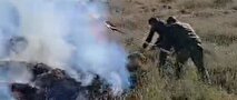 آتش سوزی در مراتع منطقه بلده نور مهار شد (+عکس)