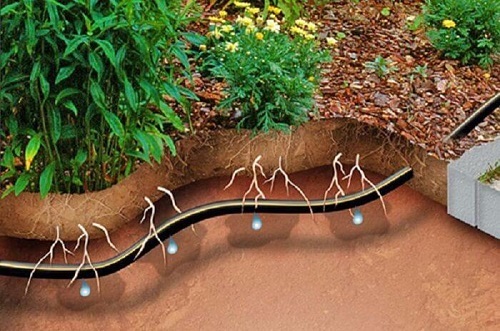 آبیاری نوین برای کشاورزی مقاوم به خشکسالی