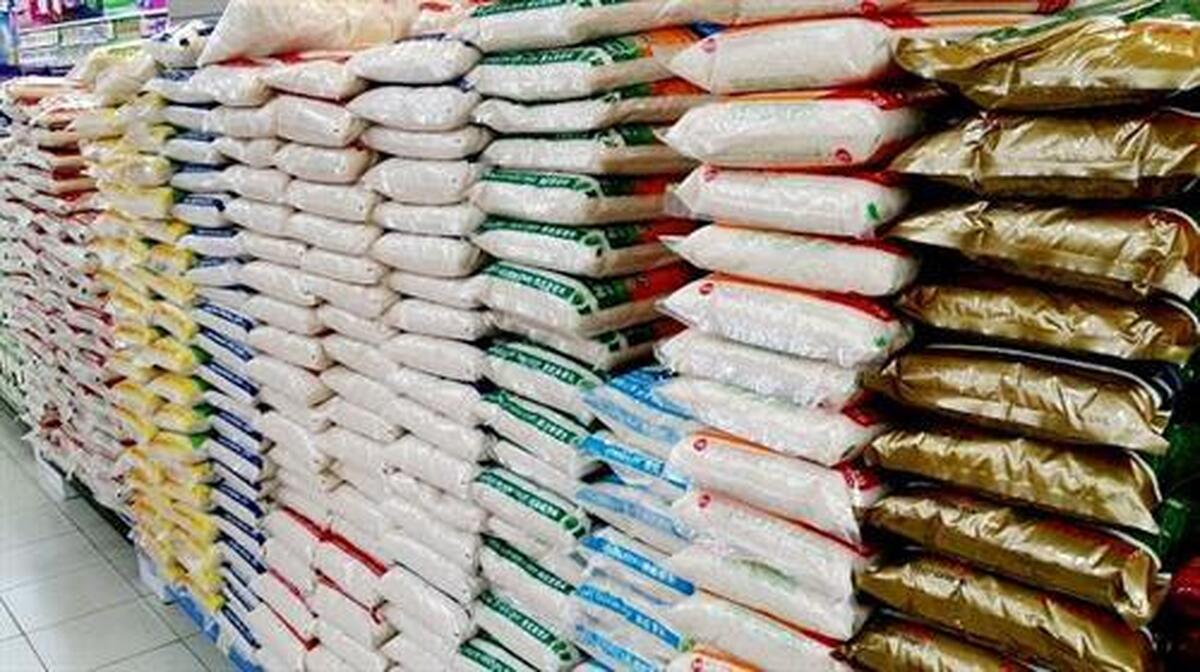 واردات برنج کلید خورد کاهش 300 هزار تنی تولید،زنگ خطر را به صدا درآورد