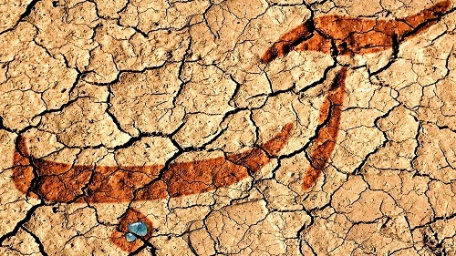 هشدار جدی مدیر آب و فاضلاب/پویش همیاری برای نجات آب کلید خورد