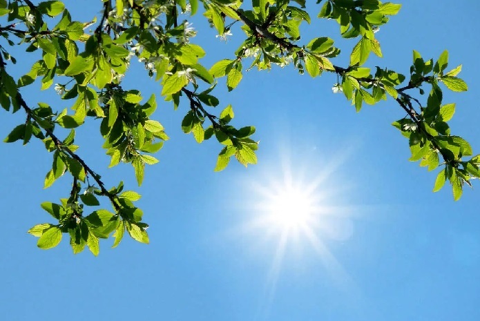 کاهش دما از یکشنبه آینده