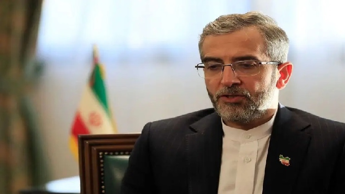 باقری: گروسی به ایران، انپیتی، آژانس و ارکان سازمان ملل خیانت کرد؛ ایران دستاندازی بیگانگان به منافع منطقه را نمیپذیرد