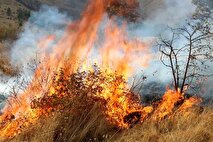 آتش‌سوزی گسترده در کوه آبیدر سنندج