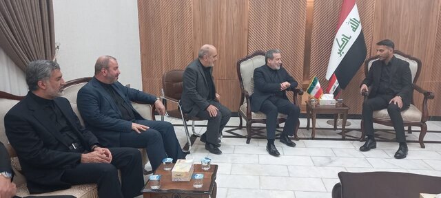 عراقچی وارد نجف شد