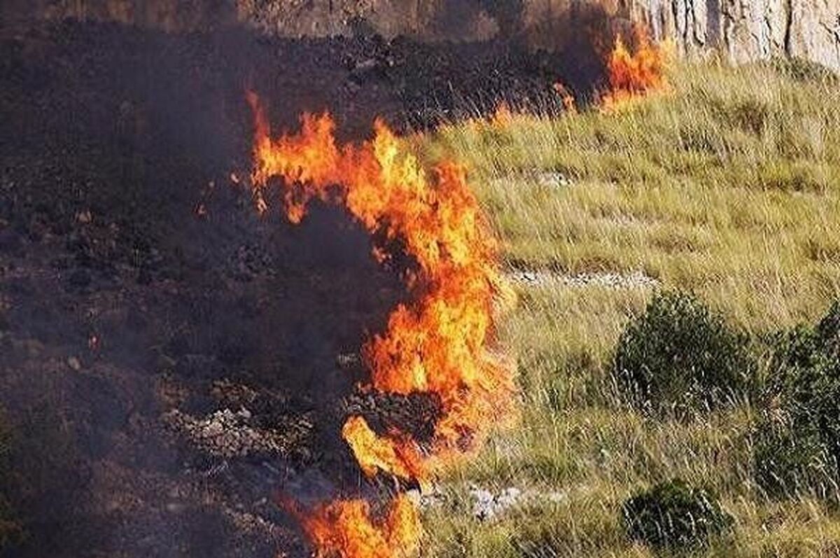 تداوم آتش‌سوزی در بخش عراقی تالاب هورالعظیم