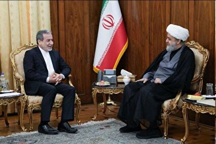 دبیرکل مجمع جهانی تقریب مذاهب اسلامی با عراقچی دیدار کرد
