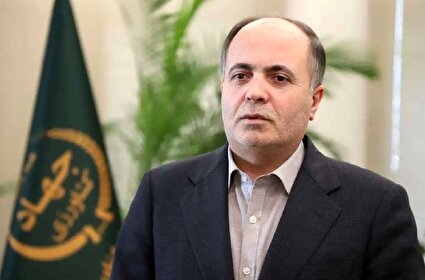 نوری قزلجه: تامین کالا‌های اساسی مردم تعطیلی بردار نیست