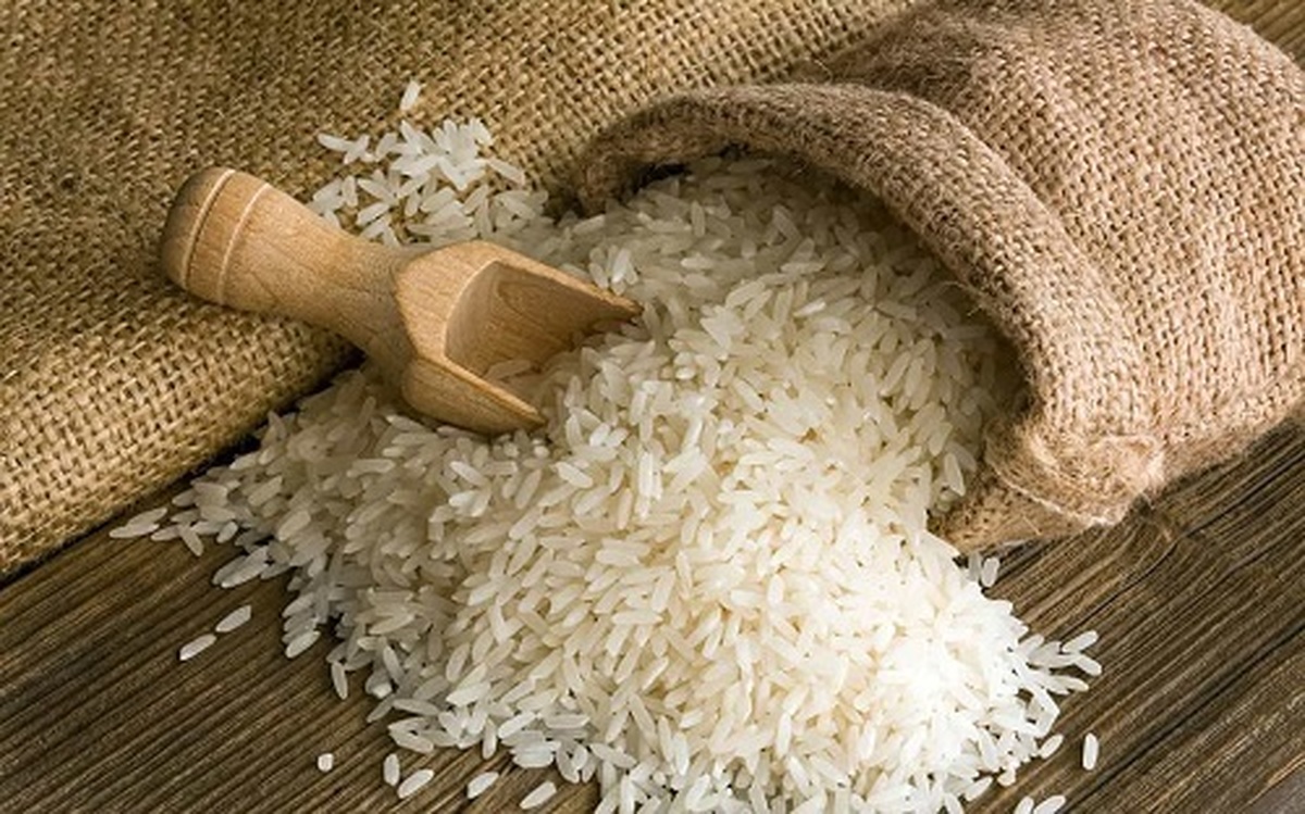 یک میلیون تن برنج وارداتی گم شد در بازار برنج چه میگذرد؟