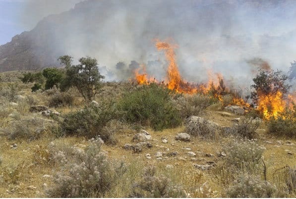 آتش سوزی گسترده در ارتفاعات «گیسکان» دشتستان