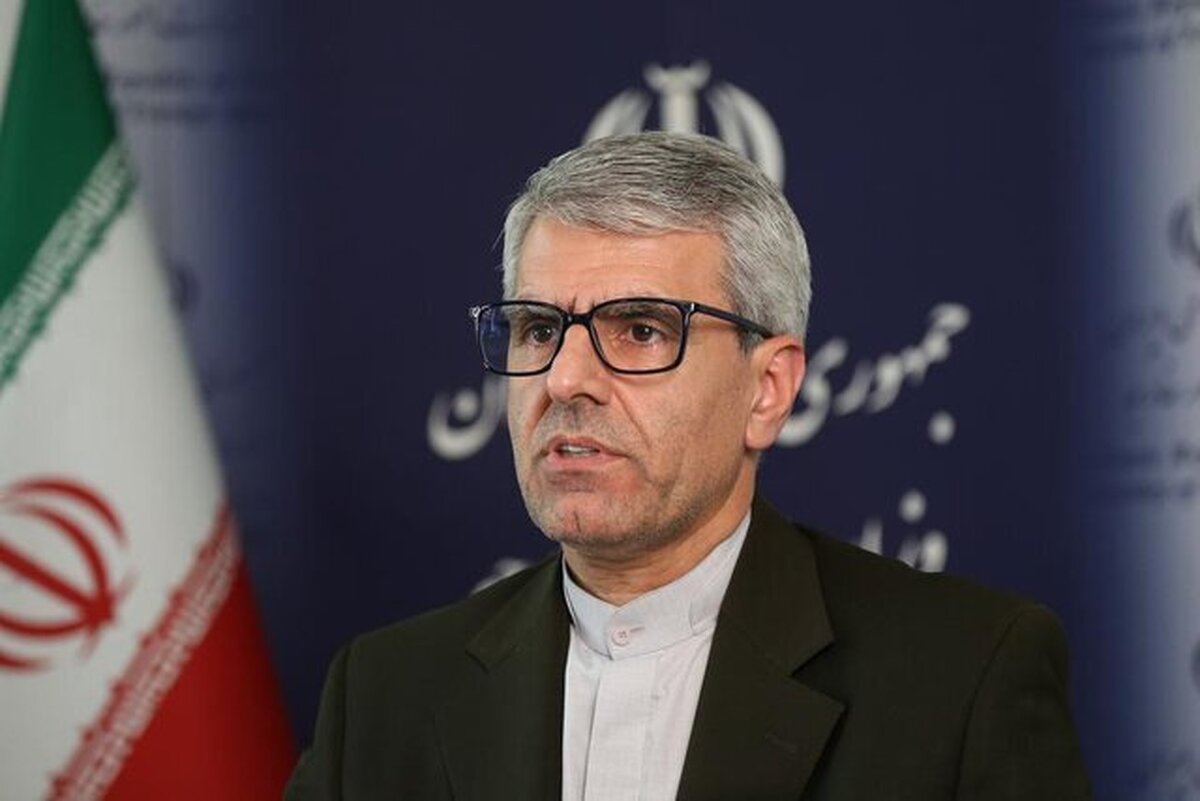 بقائی: پیگیریها برای آزادی مشروط و انتقال مهدیه اسفندیاری به مکانی خارج از زندان ادامه دارد