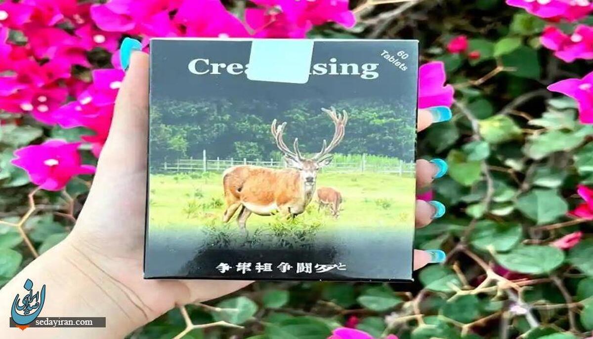 عکس قرص جینسینگ اصل برای چاقی