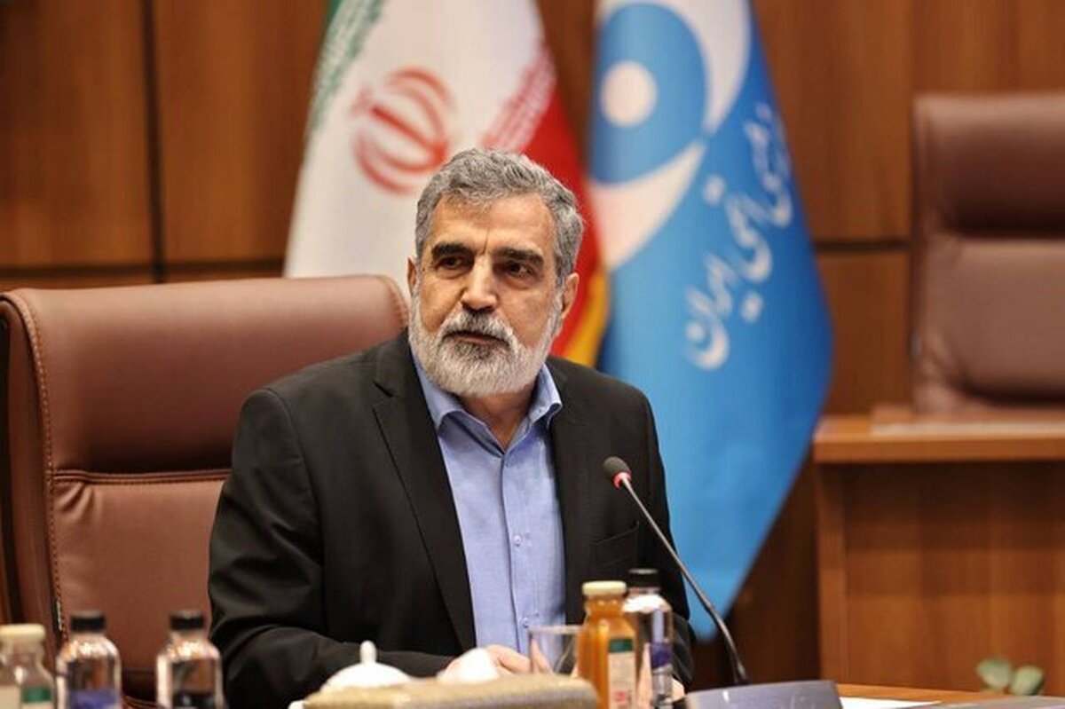 کمالوندی: بهرغم سنگاندازی آمریکا، برای تصویب قطعنامه پیشنهادی ایران تلاش میکنیم