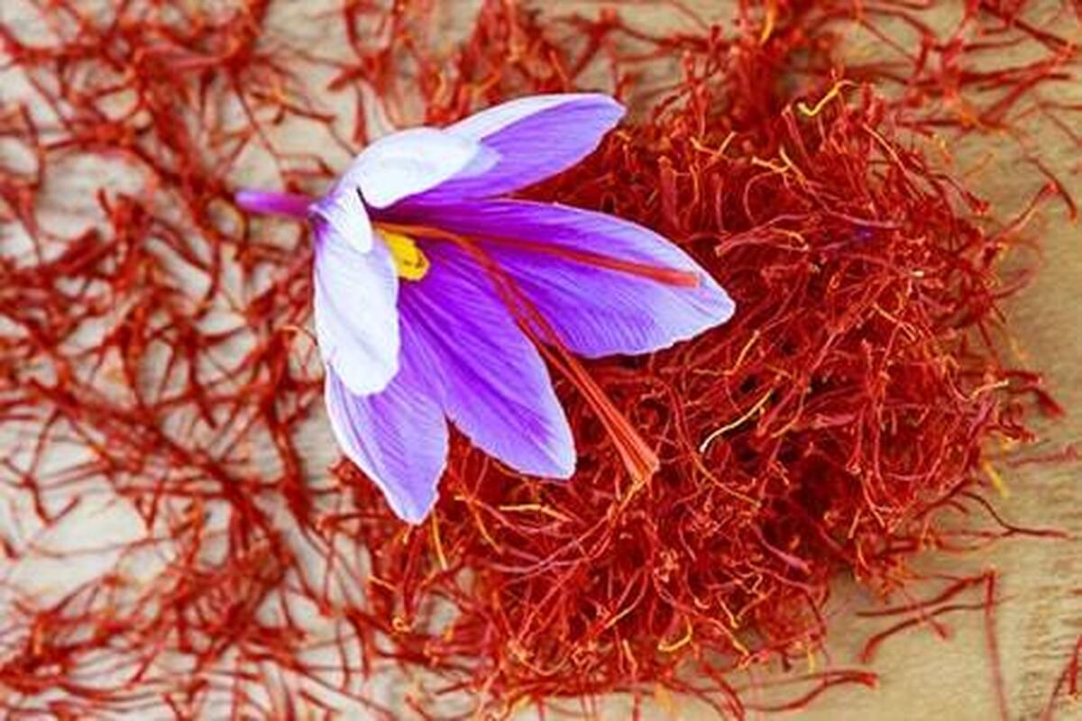 طلای سرخ ایران به نام افغانستان تهدید جدی برای برند ملی