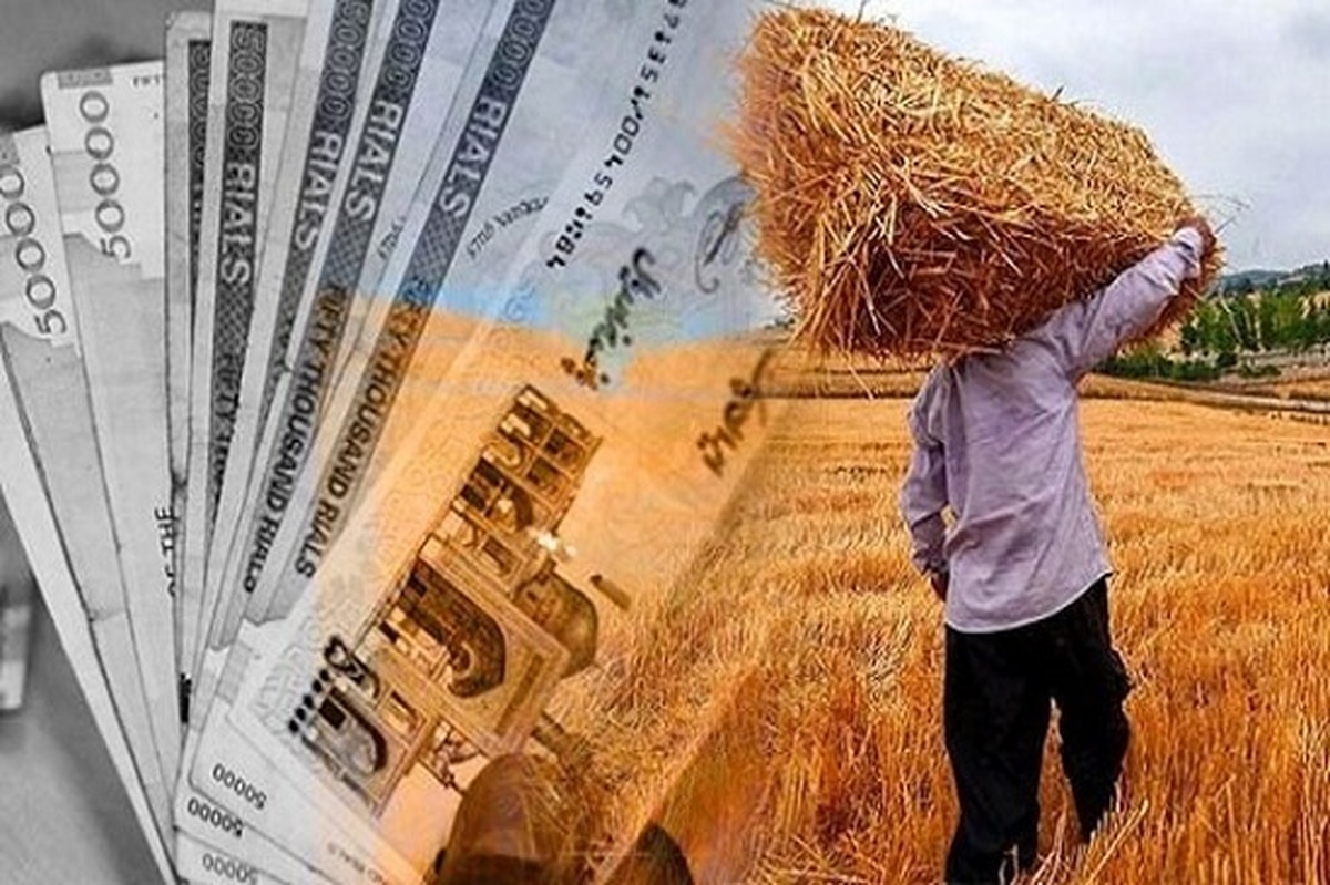 تکذیب ادعای پرداخت کامل مطالبات گندم کاران