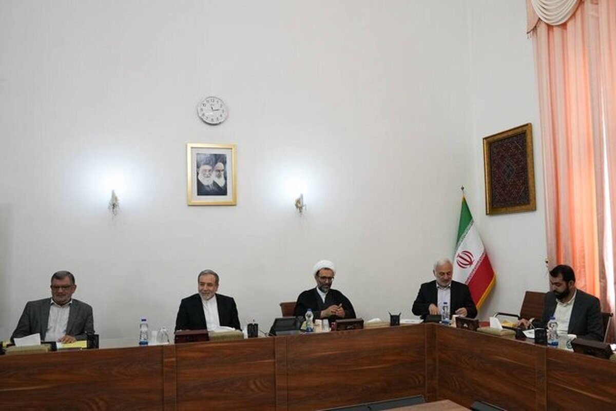 عراقچی: شرایط برای ورود ایرانیان پناهنده به کشور فراهم است