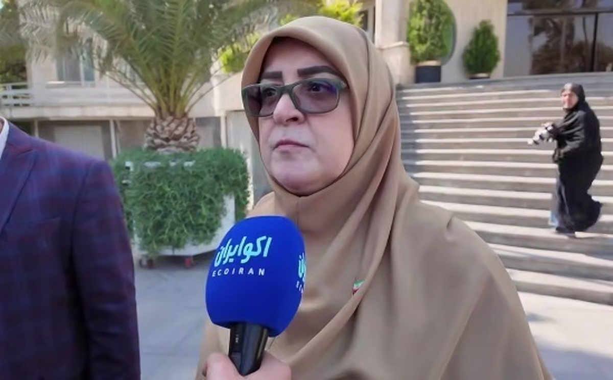 مهاجرانی: درخواست ایران برای نشست با سه کشور اروپایی و ویتکاف در نیویورک رد شد