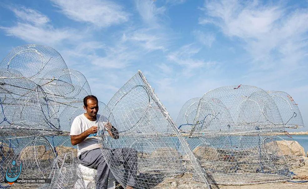 مصاحبه اختصاصی با اطلس پگاه درباره «سیم صید» و تحول در ساخت گرگور