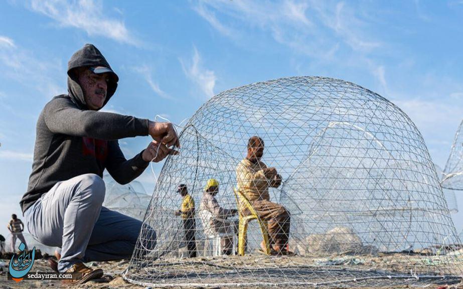 مصاحبه اختصاصی با اطلس پگاه درباره «سیم صید» و تحول در ساخت گرگور