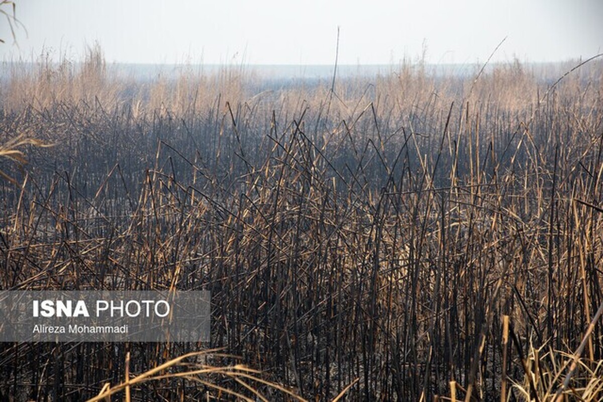تغییر ساعت فعالیت مدارس و ادارات خوزستان تا پایان آبان بررسی می‌شود
