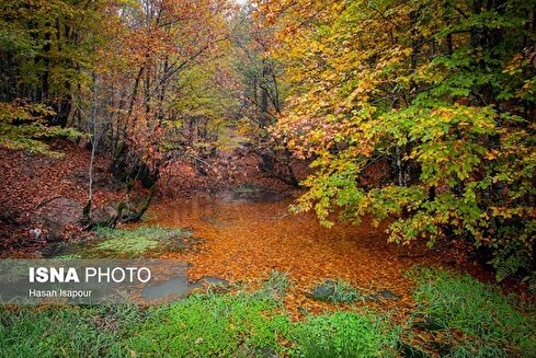 طیبعت-پاییزی-سوادکوه-عکس