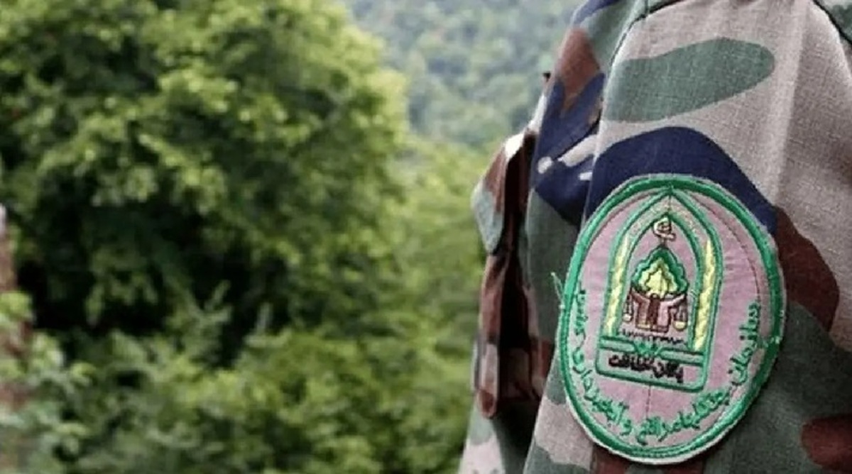 بازداشت قاچاقچی چوب در آمل؛ با «داس و تبر» به جان جنگلبانان افتاد