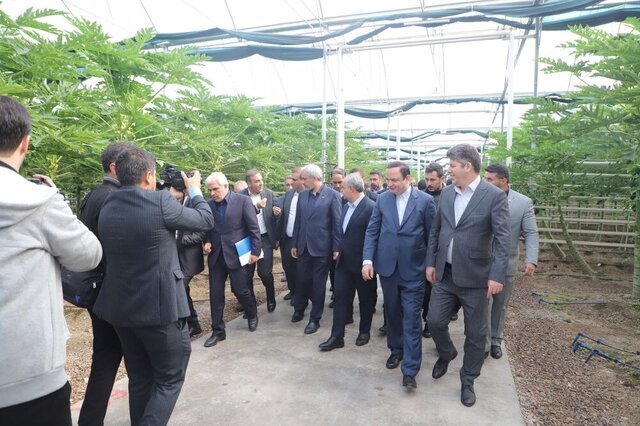 افتتاح کریدور شهدای اقتدار منطقه آزاد ارس با حضور وزیر اقتصاد