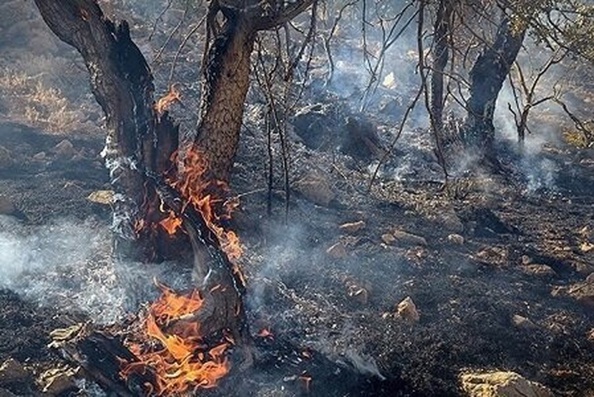 عملیات مهار آتش سوزی در منطقه نراب جیرفت